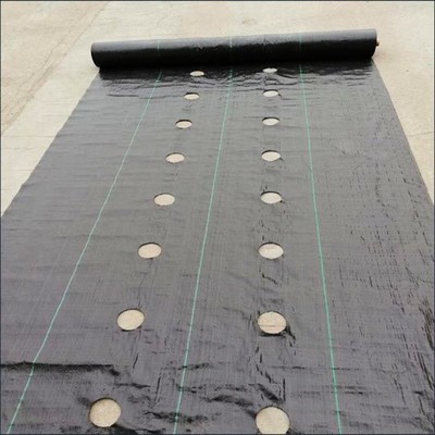 打孔防草布的價(jià)格,打孔蓋草布